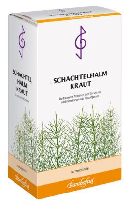 SCHACHTELHALMKRAUT Tee