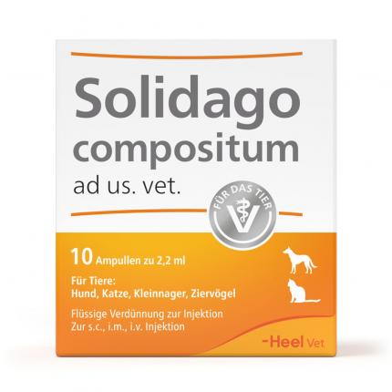 Solidago compositum ad us. vet.