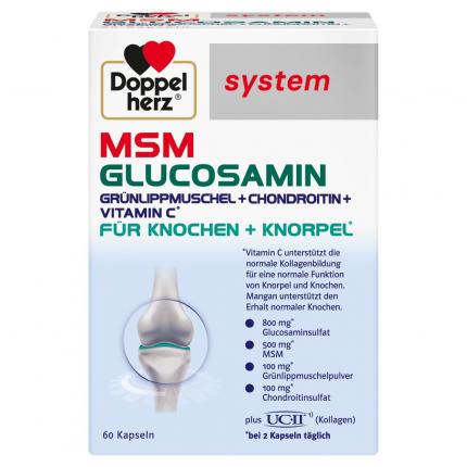 Doppelherz system MSM GLUCOSAMIN