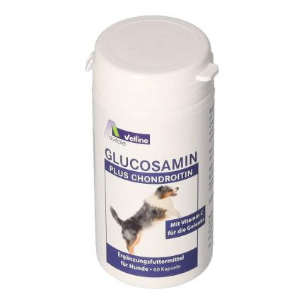 Avitale GLUCOSAMIN PLUS CHONDROITIN vet.