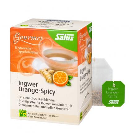 Salus Ingwer Orange Spicy Tee