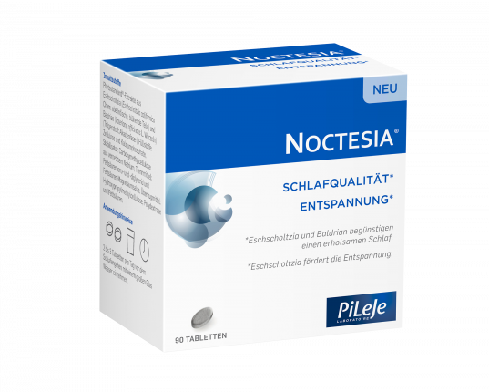 NOCTESIA