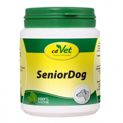 SENIOR Dog