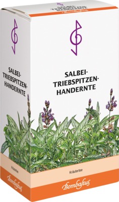 SALBEI TRIEBSPITZEN Tee Handernte