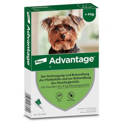 Advantage 40 Lösung für Hunde bis 4 kg