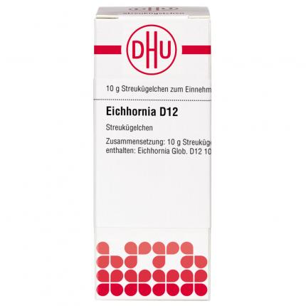 Eichhornia D12