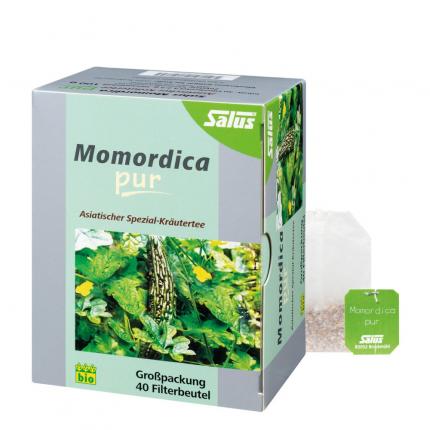 Salus Momordica pur asiatischer Kräutertee Bio